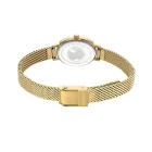 Bering Classic női karóra Ø 20 mm Típus: 11020-334