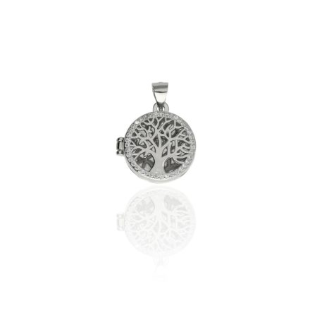 AG123484 - Ezüst medál