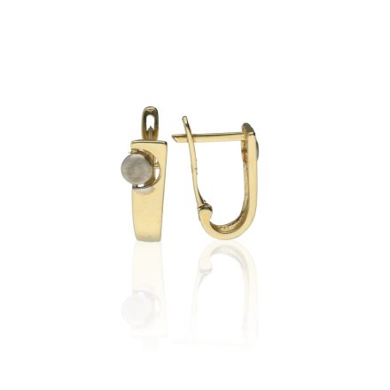 AU48160 - 14 karátos arany női fülbevaló Francia patentzárral