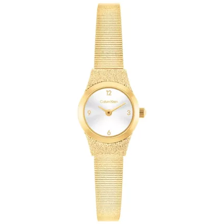 CK25100193 - Calvin Klein női karóra