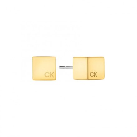 CKJ35000246 - Calvin Klein női fülbevaló