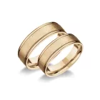 14K karikagyűrű M-1156-V